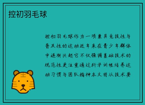 控初羽毛球