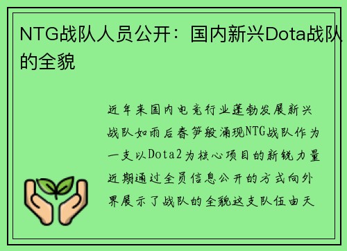 NTG战队人员公开：国内新兴Dota战队的全貌