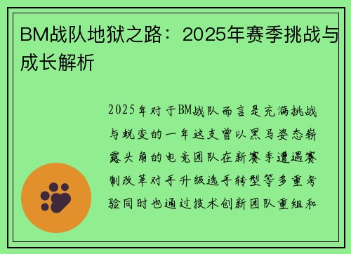 BM战队地狱之路：2025年赛季挑战与成长解析